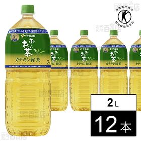 【特定保健用食品】お～いお茶 カテキン緑茶 PET 2L