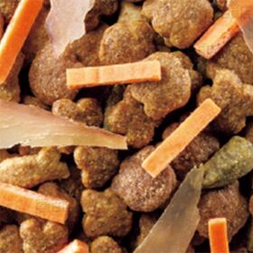 コンボ キャット 毛玉対応11歳以上 かつお味・かつおチップ・かつお節添え 600g(120g×5袋)