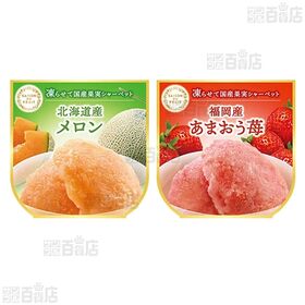 セゾンデュフルイ 凍らせて国産果実シャーベット SS-50D