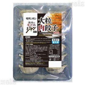 ジャン 焼肉の生だれ 配合 大粒肉餃子 336g(12個入)
