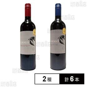 [2種計6本]オーシャン貿易 ジルベール＆ガイヤール2024金賞受賞 チリ赤ワイン2種セット