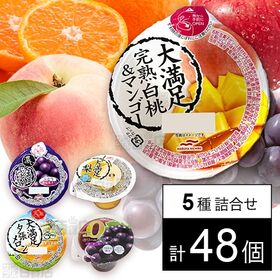[5種計48個]マルハニチロ ゼリー5種セット