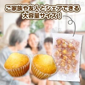 ＜シンプル百科＞【40個×2袋】小分けの洋菓子 プチマドレーヌ