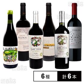 アルゼンチン BIO(オーガニック)赤ワイン6種セット