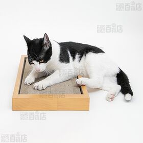 HappyDays ゴミが出にくいつめとぎ ダブル