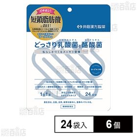 どっさり乳酸菌と酪酸菌 2g×24袋入