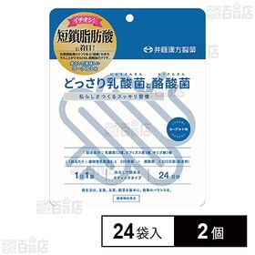 どっさり乳酸菌と酪酸菌 2g×24袋入