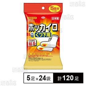 [計120足]興和 ホッカイロ くつ下用 5足分×24袋 | 薄くてピッタリくつ下に貼る用！消臭成分配合で7時間持続
