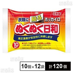 [計120個]興和 ホッカイロ ぬくぬく日和 貼る レギュラ― 10個×12袋 | 適正温度安定的に持続、スポーツ・レジャー・足腰などの保温に