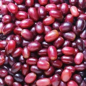 Delcy 皮ごと食べられるぶどう 170g