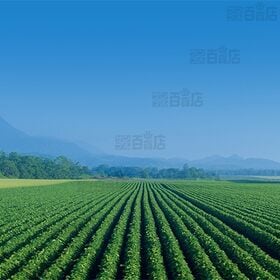 ハンター ポテトチップス スイートチリチャツネ味 40g