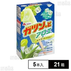 ガツンとアロエ 58ml×5本入