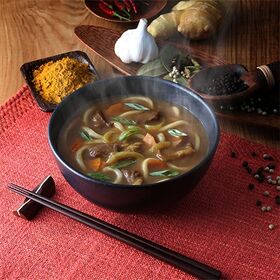 フジッコ カレーうどんの素 中辛 300g×10袋