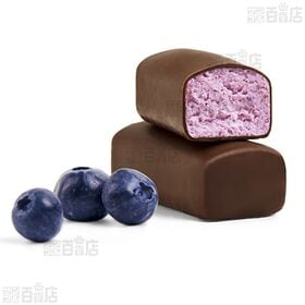 オクターブ・チョコチーズケーキ ブルーベリー 40g