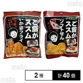 [2種計40個]クリート ご飯がススムいか姿フライ 26g / ご飯がススムソフトせん 22g | ひとくちサイズ