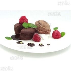 [冷凍]ロッテ 業務用 プレミアムガーナショコラアイス 2000ml×2個