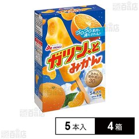 [冷凍]赤城乳業 ガツン、とみかん (58ml×5本)×4箱