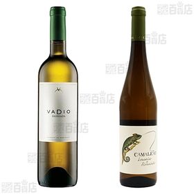 厳選ポルトガルワイン飲み比べ 6種セット