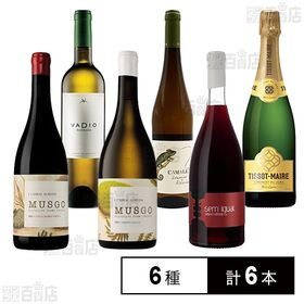 ヨーロッパワイン飲み比べ 6種セット