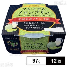 [冷蔵]茨城乳業 プレミアムメロンプリン 97g×12個 | メロンで作ったピューレと自家製生クリームで仕上げた2層タイプのこだわりプリンです。