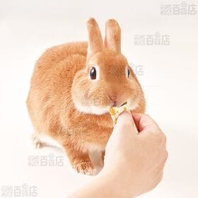 快腸ぐらし うさぎのぴゅーれ チモシー＆パイン 3g×10本