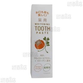 【医薬部外品】 薬用ISKデンタルクリーム(薬用歯磨き) 120g