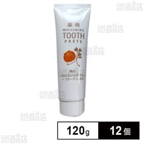 【医薬部外品】 薬用ISKデンタルクリーム(薬用歯磨き) 120g