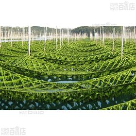 伊勢志摩産新物生あおさのり 90g