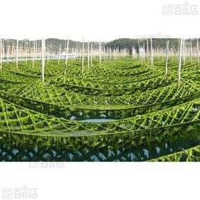 伊勢志摩産新物生あおさのり 90g