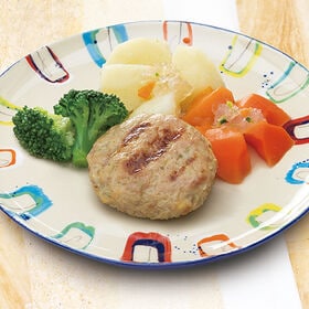 愛犬用 冷凍ペットフード ハンバーグと温野菜 80g