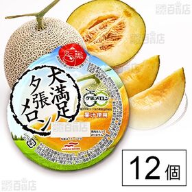 大満足夕張メロン 285g