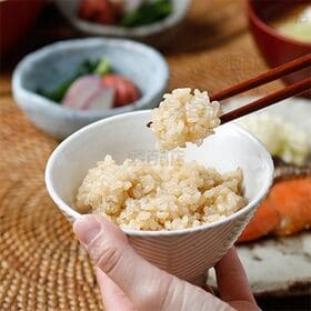 アルファー食品 ぷちっともち玄米 900g×6個