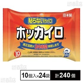 [計240個]興和 ホッカイロ 貼らない レギュラー 10個入×24袋 | いつでも手軽にぽっかぽか、適正温度が24時間持続