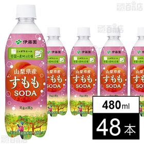 [48本]伊藤園 ニッポンエール 山梨県産すももソーダ PET 480ml | 山梨県産すももの甘酸っぱい味わいが夏に好適な炭酸飲料