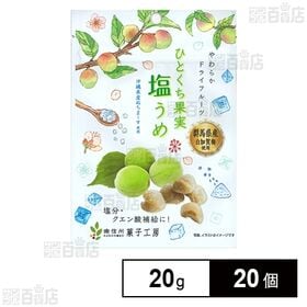 南信州菓子工房 ひとくち果実塩うめ 20g
