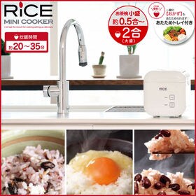 ライスミニクッカー 0 5 2合炊き炊飯器を税込 送料込でお試し サンプル百貨店 良いバランス生活