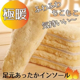 【24.5cm】【2足セット】インソール 防寒対策 冷え取り 暖かい あたたかい | 冷え取り 暖かい あたたかい 足冷え対策 ぽかぽか 冬用 ふわふわ