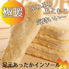 【24.0cm】【2足セット】インソール 防寒対策 冷え取り 暖かい あたたかい