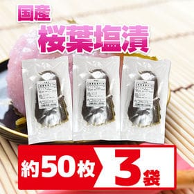 【約50枚×3袋】桜葉塩漬け