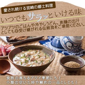 【3パックセット】冷や汁 国産の鶏肉入り