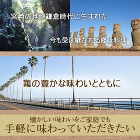 【3パックセット】冷や汁 国産の鶏肉入り