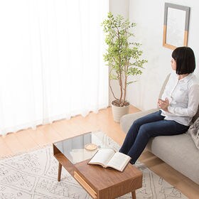 【幅100×丈133(cm)】ミラーレースカーテン 2枚組 【採光機能 遮熱 遮像 UVカット】