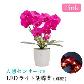 【ピンク】人感センサー付きLEDライト胡蝶蘭 鉢型