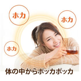 【メガ盛り】『ジンジャー・ルイボスティー』ティーバッグ3g×50包