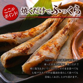 2kg 北海道産一夜干しこまいを税込 送料込でお試し サンプル百貨店 さっぽろ朝市 高水