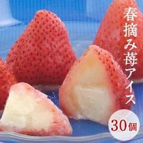 【30個入り】摘み苺アイス | 自然の恵み、おいしさそのままに優しい甘味の練乳アイス