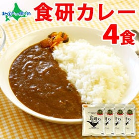 【4食(200g×4)】日本食研 カレーレトルト