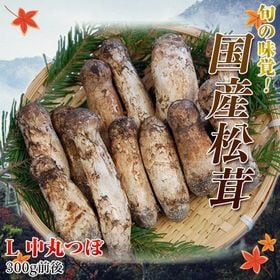300g(4~7本/Lサイズ)】国産マツタケ 中丸つぼみを税込・送料込でお試し 