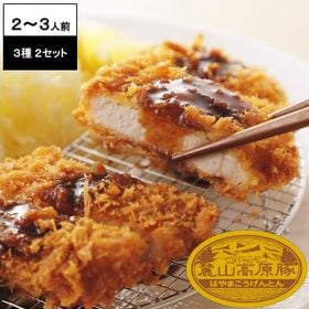 【800g(3種×2セット)】ブランド豚 麓山高原豚 とんかつ トンテキ 3種 セット 2~3人前