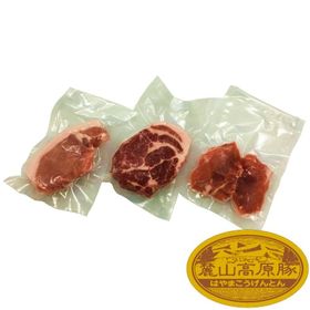 【800g(3種×2セット)】ブランド豚 麓山高原豚 とんかつ トンテキ 3種 セット 2~3人前